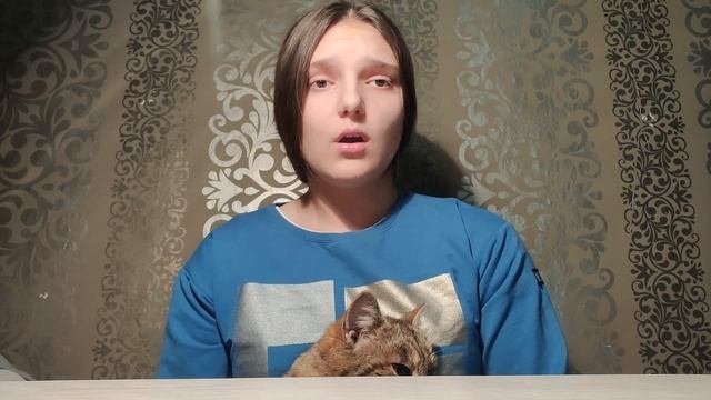 Какой шампунь лучше покупать для домашних питомцев ? шампунь для собак | кошек .