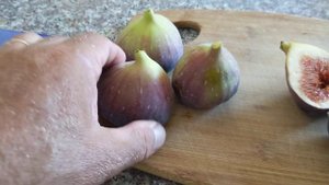 Сравнение инжира сортов Black Jack и Brown Turkey Improved