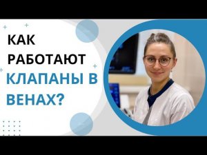 Как работают клапаны в венах?