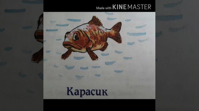 Николай Носов рассказ Карасик