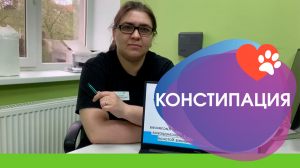 Констипация у животных