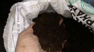 Подготовка хвойных опилок для червя.