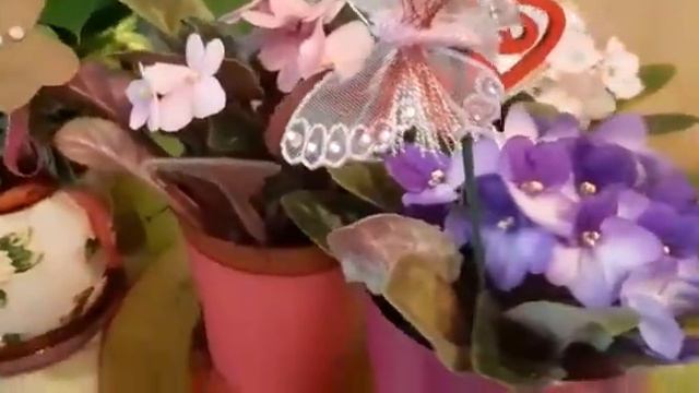 Мои фиалки! 🌸🌸🌸 смотреть онлайн