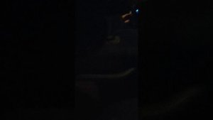 Самый честный обзор Crown 131