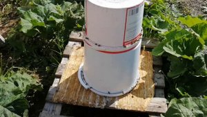 Самая лучшая поилка для пчел  Часть 2