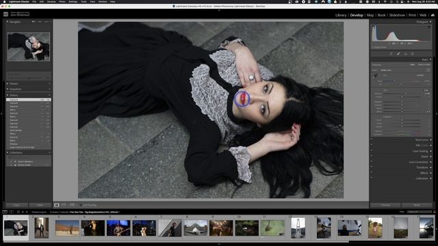 Ultimate Adobe Lightroom Classic 2022-"DEVELOP MODULE" FREE SERIES смотреть онлайн