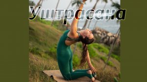 Уштрасана (поза Верблюда) в йоге