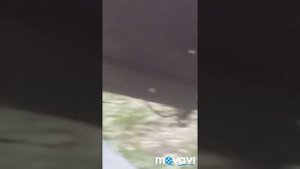 Дешевый вариант прорезинеть днище авто