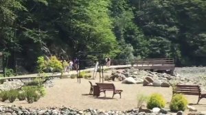 ПЛЯЖ РОЗА BEACH НА РОЗЕ ХУТОР