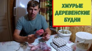 ДЕРЕВЕНСКИЕ БУДНИ СТАНОВЯТСЯ ХМУРЫМИ