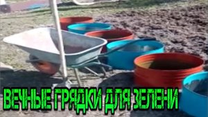 ВЕЧНЫЕ ГРЯДКИ ДЛЯ ЗЕЛЕНИ ИЗ БОЧКИ