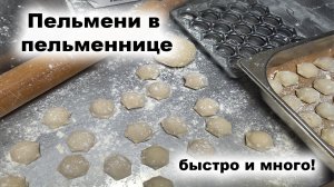 Пельмени в пельменнице: быстро и много! (dumplings simple recipe)