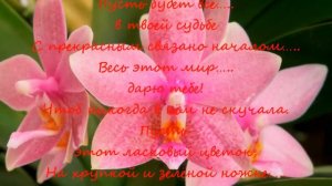 Коснись губами лепестка...