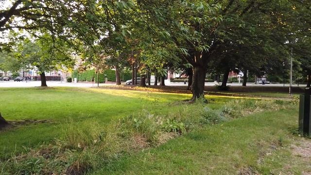 Откройте для себя жизнь в Бельгии: Плюсы Европейского стиля жизни