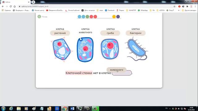 Сравнение клеток бактерий грибов животных и растеий Биология 5 кл смотреть онлайн