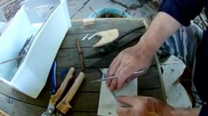 Подготовка черенков винограда к прививке