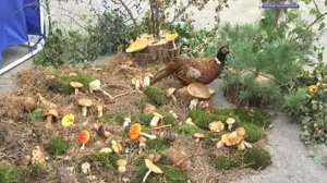 День рождения Новоайдарского района