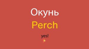 Окунь по-английски