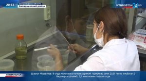 Выращивание картофеля методом «In-vitro» в Самарканде