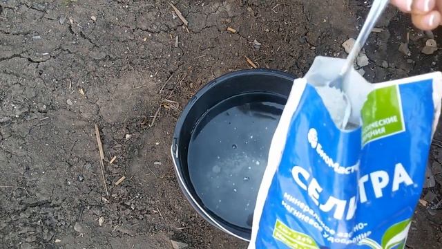 СРОЧНО ПОДКОРМИТЕ  Первая подкормка КЛУБНИКИ весной смотреть онлайн