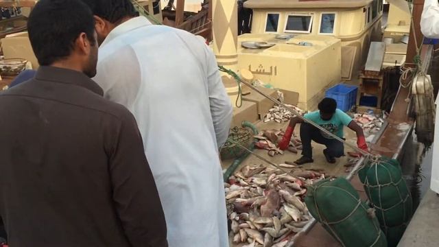 Fish market Ajman