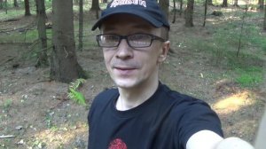 Рядовка фиолетовая. Корзина рядовки за час.