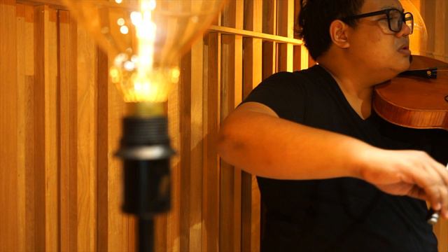 BRAHMS - Lullaby  Viola Solo