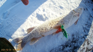 Рыбалка! щука на махалку. Рыбалка на Амуре на хапугу 2021