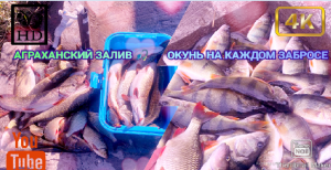 АГРАХАНСКИЙ? ЗАЛИВ? день первый
Рыбалка в Дагестане
Махачкала
Каспийск
Микроджиг