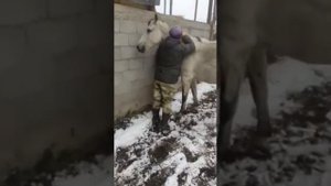 Тестируем новую модель трекера (GPS), ставим GPS на ЛОШАДЬ, что бы отследить маршрут лошади. СЛЕШКА