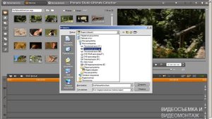 Pinnacle Studio 15. Как в проект добавить видеоматериал.