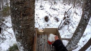 Прикормочный Домик на Соболя