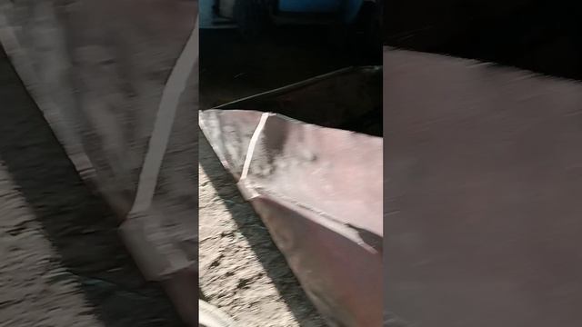 Сортировка подсолнечника. смотреть онлайн