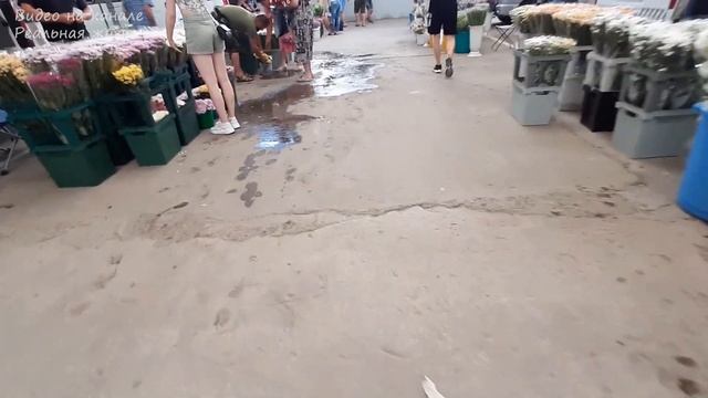 ???ЦВЕТОЧНЫЙ РЫНОК УДИВИЛ НИЗКИМИ ЦЕНАМИ ?25 ИЮЛЯ?