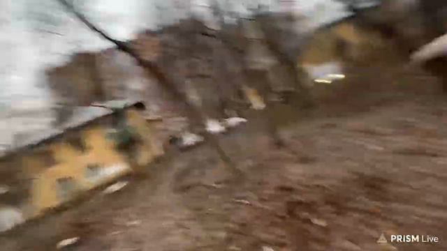 Пуделя приняли копы под музыку :D смотреть онлайн