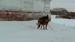 г. Далматово Курганской области. Монастырь Св. Далмата