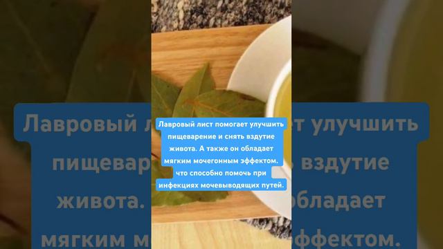 Лавровый лист помогает улучшить пищеварение и снять вздутие живота.  #пользаивред #здоровье