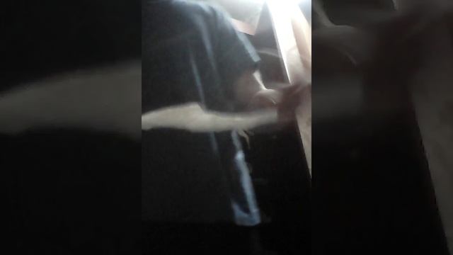 Как сделать бумажные водоросли