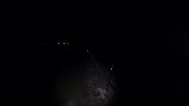 НОЧНАЯ ЛОВЛЯ ЛЕЩА НА ВОЛХОВЕ 2022 смотреть онлайн