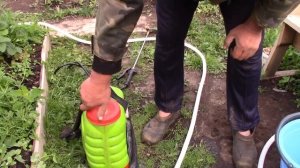 Обработка картофеля препаратом танос от фитофторы.