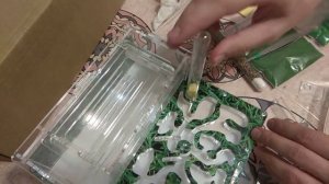 Обзор муравьиной фермы