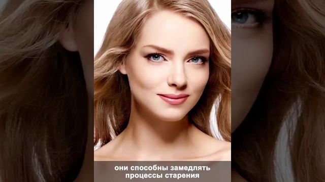 Ягоды годжи высокого качества смотреть онлайн