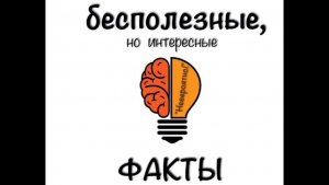 УДИВИТЕЛЬНЫЕ ФАКТЫ.mp4