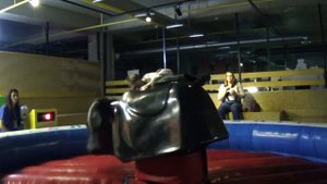 Bogatyr TV! Что такое MazaPark ?!