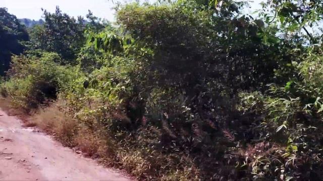 Dudhsagar waterfall Goa road and train journey with details смотреть онлайн