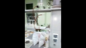 Кошачий наполнитель. Правда о производстве!!!!!