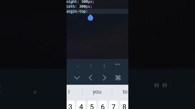 new login box with html&css