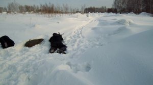 Биения пули в патроне 9,6/53 Ланкастер
