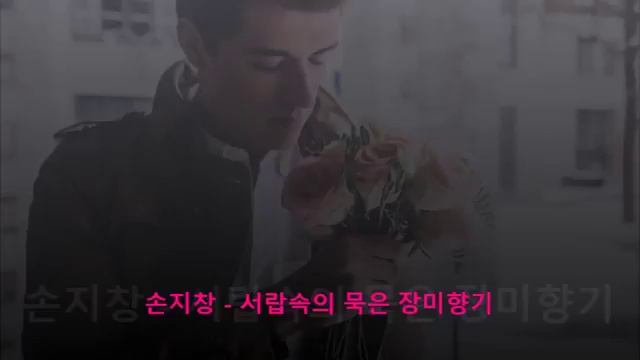 [Audio]손지창 - 서랍속의 묵은 장미향기 - 드라마 금잔화OST (90년대 발랃 히트곡) смотреть онлайн