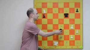 Шахматы красивая позиция из эндшпиля